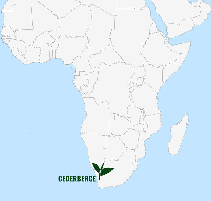 Oblast Cederberge zvýrazněná na mapě Afriky, která ukazuje její význam pro pěstování čaje rooibos.