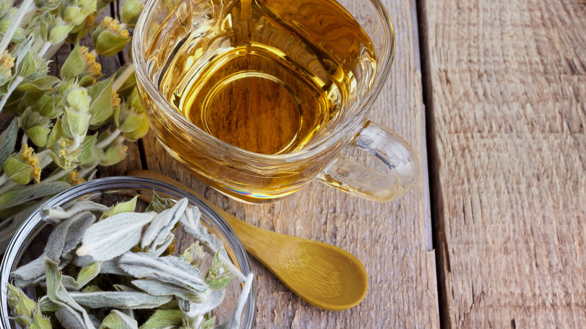Kräutertee, serviert in einer Glastasse, begleitet von getrockneten Kräutern und einem Holzlöffel auf einer rustikalen Holzunterlage.