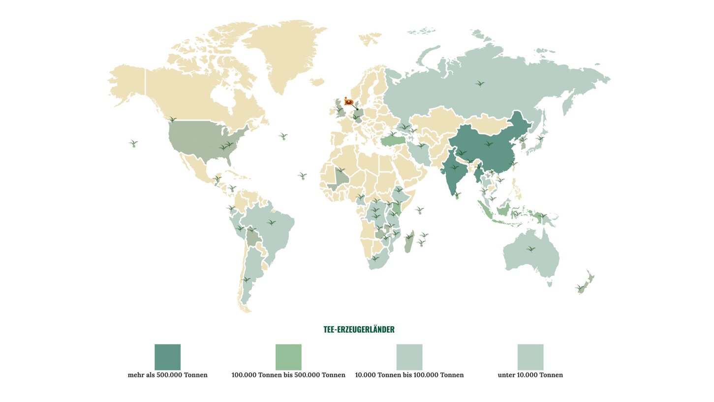 Mapa světa zobrazující země produkující čaj s barevnými legendami pro úroveň produkce.
